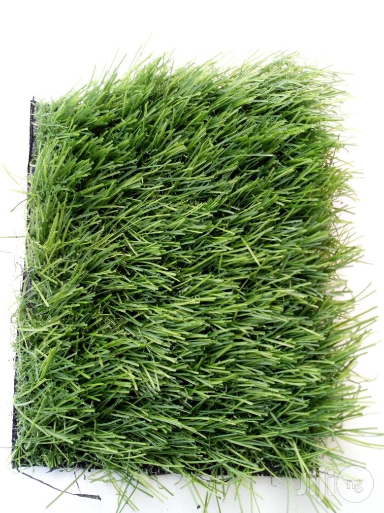Rug Field Grass