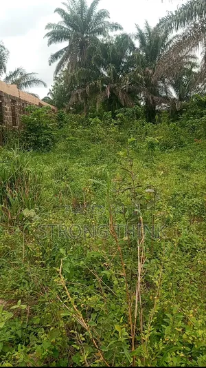 Beautiful Plot of Land