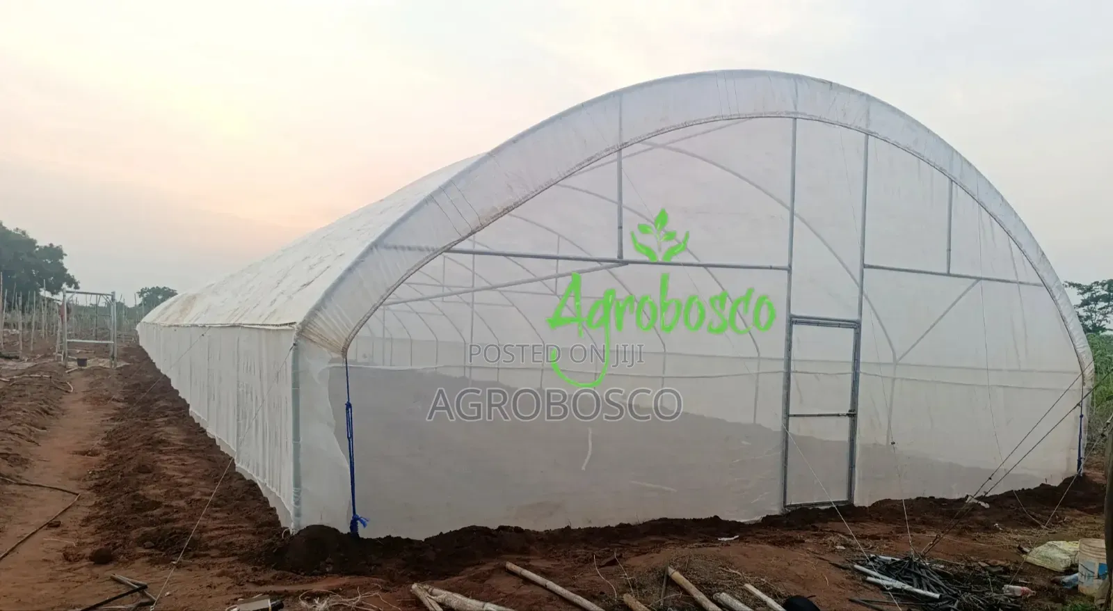 Greenhouse