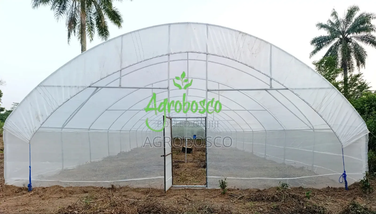 Greenhouse