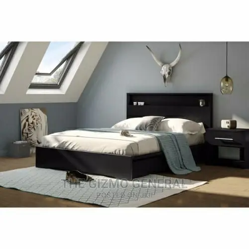 Basic Queen Platform Bed With 2 Drawers - Black