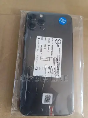 Apple iPhone 11 Pro Max 256 GB Gray