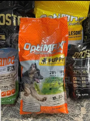 All Kinds of Dog Feeds