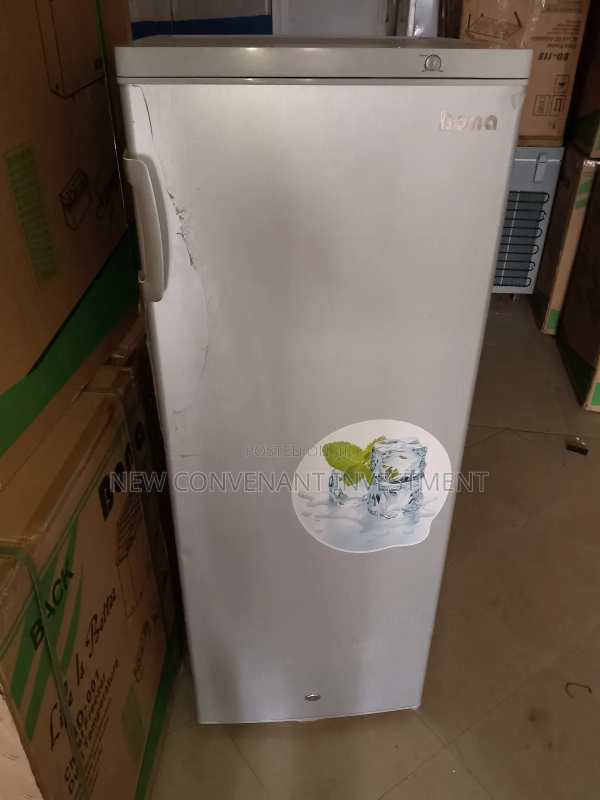 Bona Solar Dc Upright Freezer Model Bd- 200