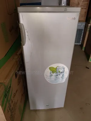 Bona Solar Dc Upright Freezer Model Bd- 200