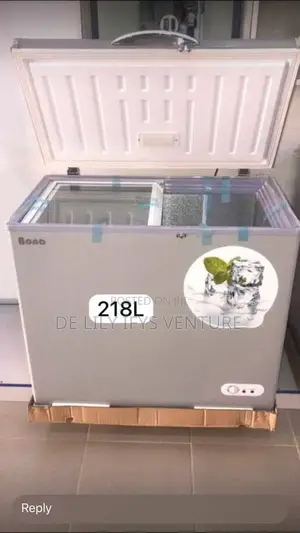 Bona Solar Freezer 218l