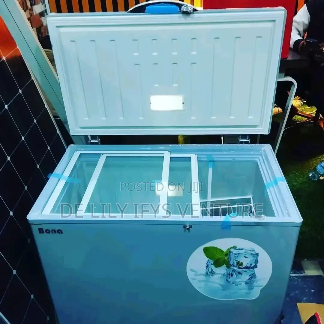Bona Solar Freezer 168 L