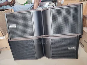 Black Star 10inches Line Array Speaker 2-ways