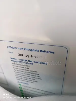 Blue Carbon Lithium Battery 15kwh 51.2v With BMS