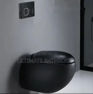 Matt Black Egg Shape Conceal Watercloset