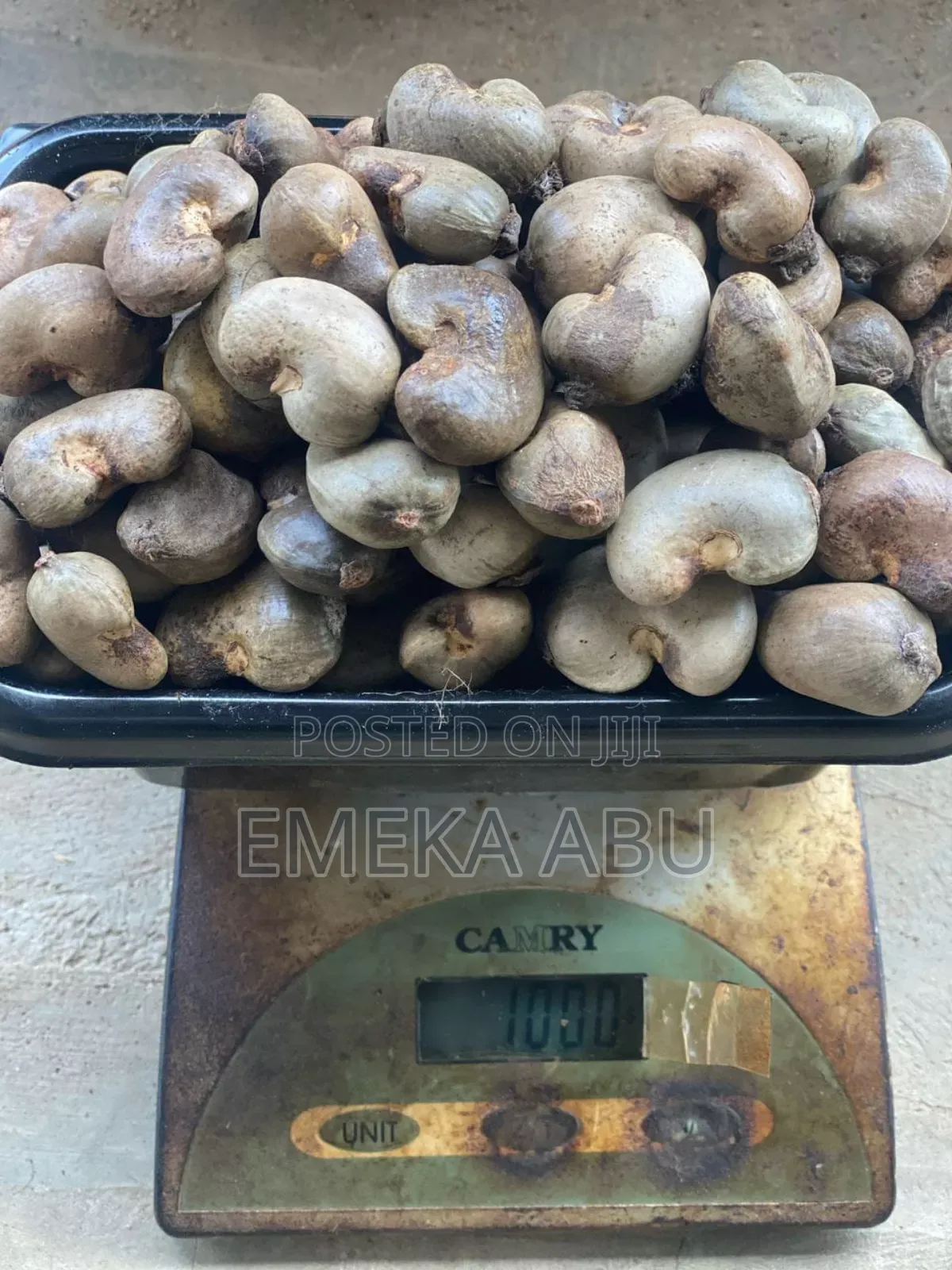 Raw Cashew Nuts