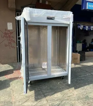 Double Doors Industrial Upright Freezer