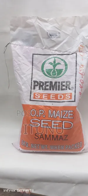Sammaz 52 Opv Maize Seed