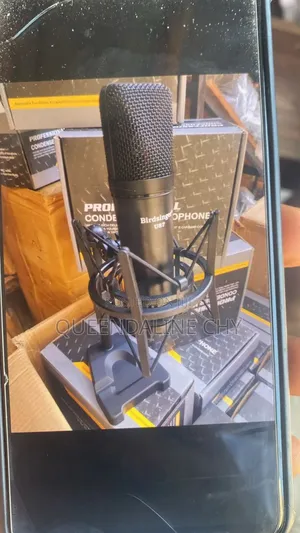U87 Birdsinger Studio Microphone