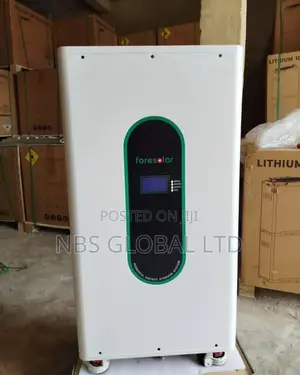 15kwh 51.2v Foresolar Lifep04 Lithium Ion Solar Batteries