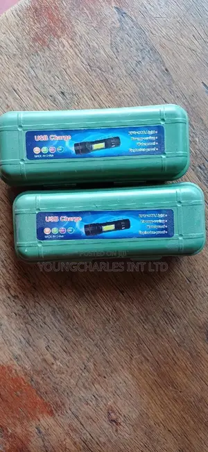 Security Torch Light.