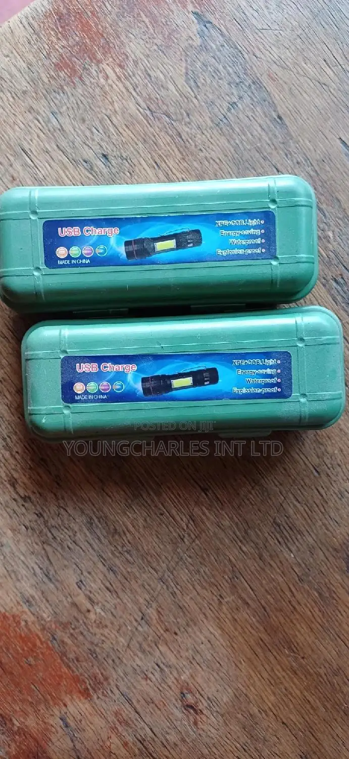 Security Torch Light.