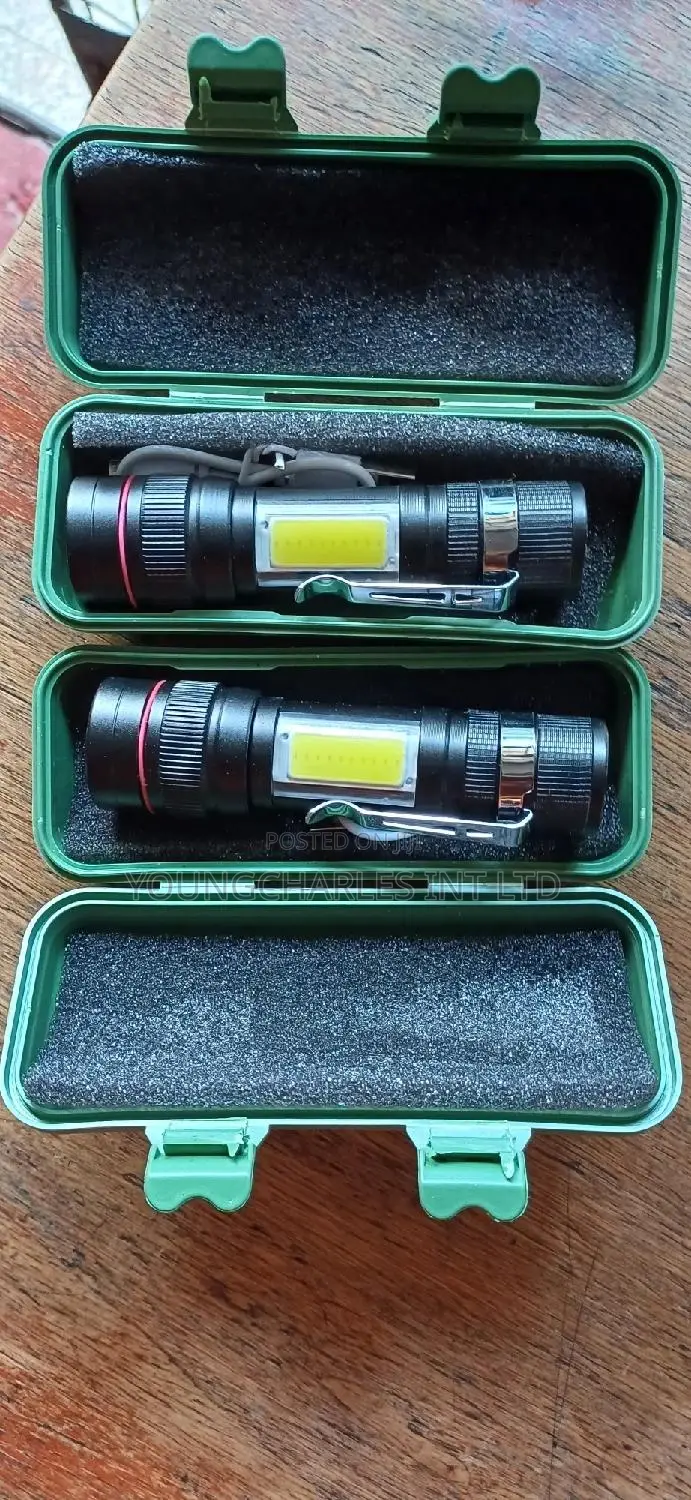 Security Torch Light.