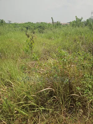 Mixed Use Land at Katampe Main Abuja