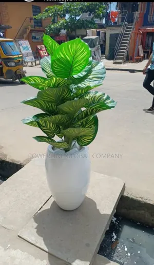 Flower With Pot for Homes/ Restaurants/ Offices/ Event Centr