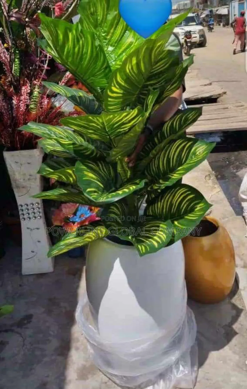 Flower With Pot for Homes/ Restaurants/ Offices/ Event Centr