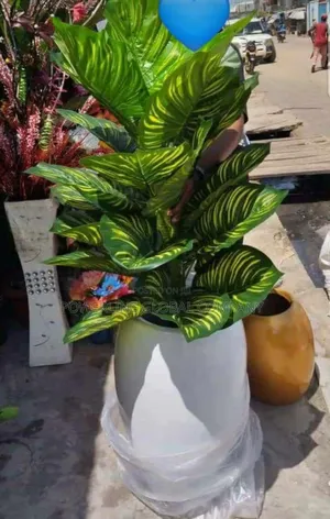 Flower With Pot for Homes/ Restaurants/ Offices/ Event Centr