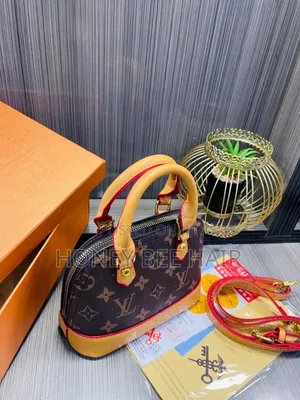 Louis Vuitton Monogram Bag
 Mini
Box  
