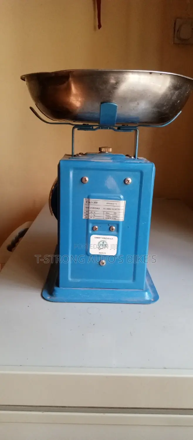 Measurement Scale