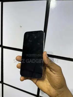 Apple iPhone 12 Pro Max 128 GB Gray