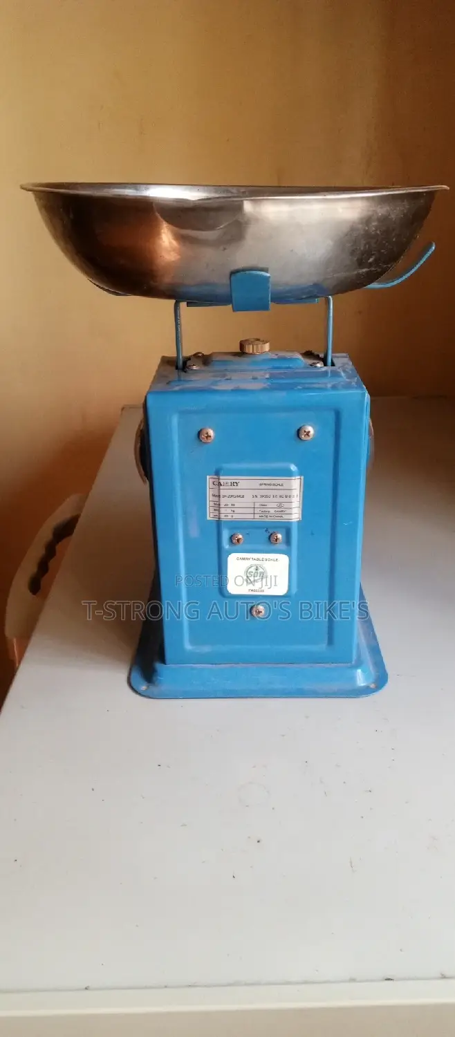 Measurement Scale