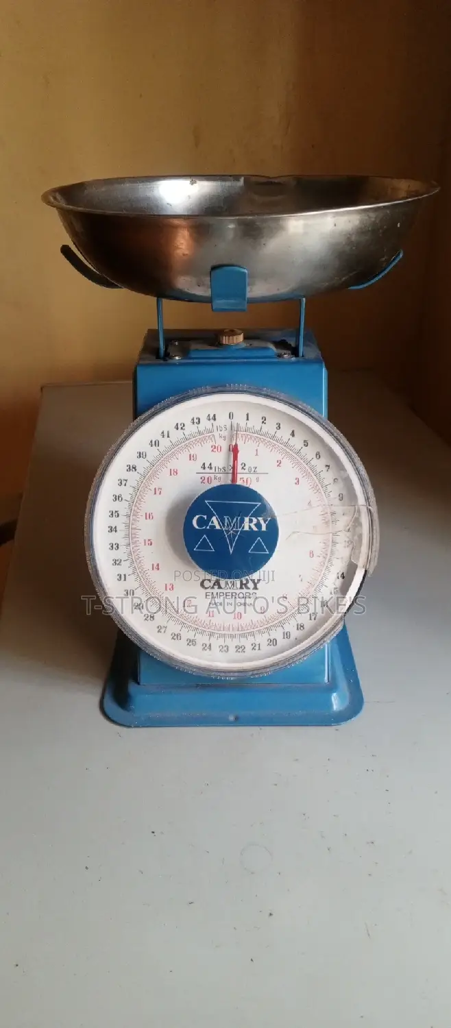 Measurement Scale
