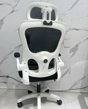 Newly Imported Ergonomic Office Chair