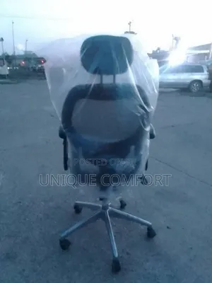 Imported Executive Ergonomic Office Chair With Head Rest