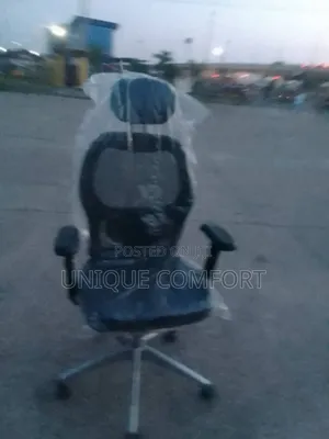 Imported Executive Ergonomic Office Chair With Head Rest