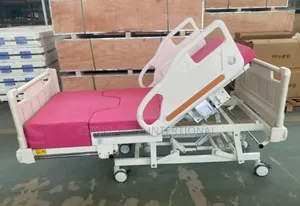 Delivery Bed Abs Electric