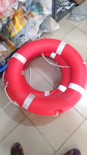 2.5kg Lifebuoy