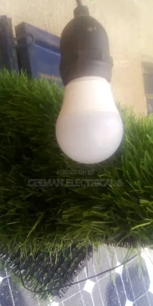 Original Energy Bulb