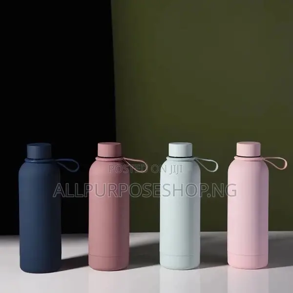 500ml Insulated Bottle