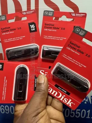 16gb Sandisk Flash Drive