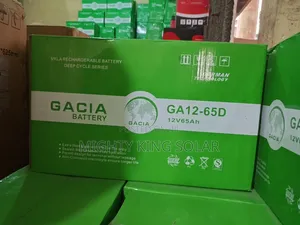 This Is Gacia 65ah Gel Battery