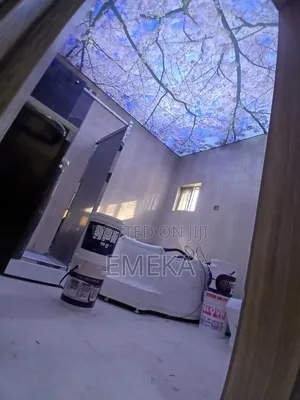 Stretch Ceiling