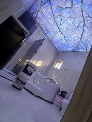 Stretch Ceiling
