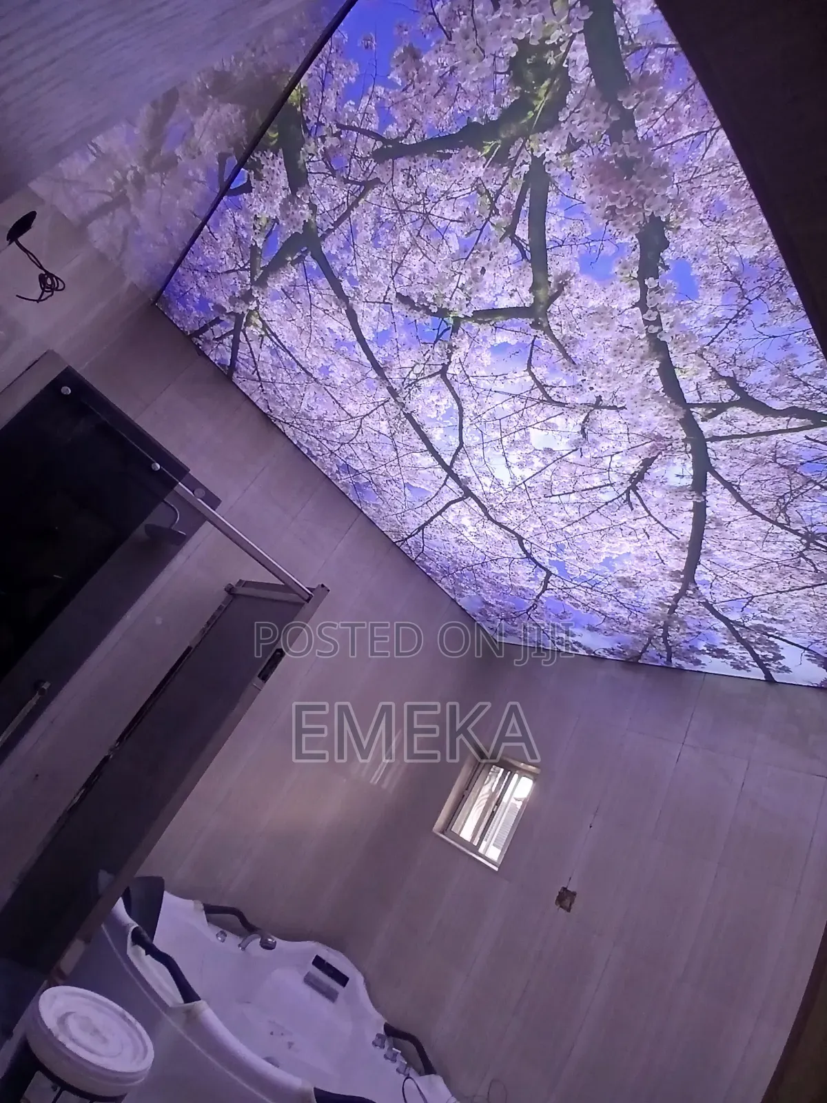 Stretch Ceiling
