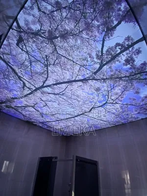 Stretch Ceiling