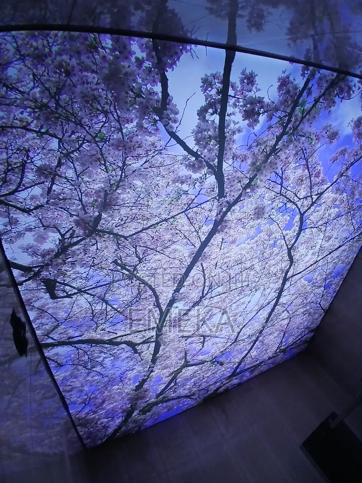 Stretch Ceiling