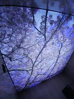 Stretch Ceiling
