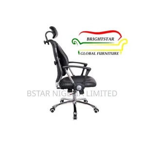 Office Ergonomic Kidney Chair (With Back Support)