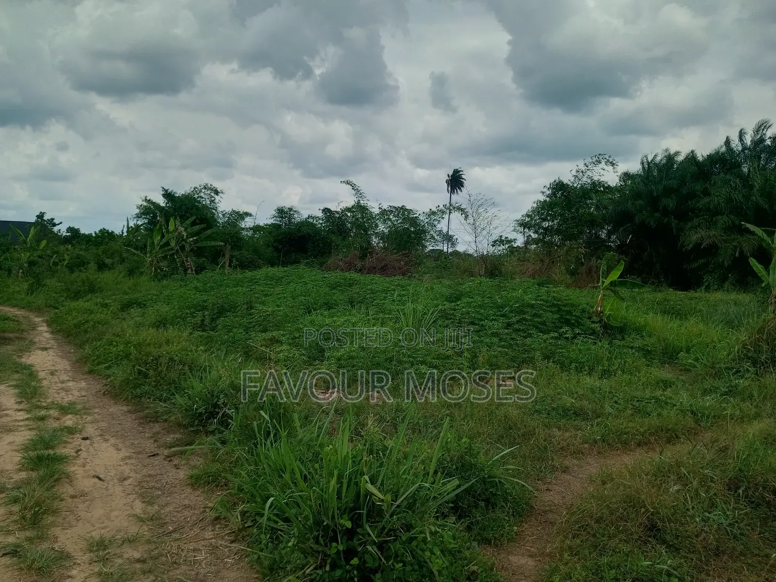 1 Plot of Land for Sale