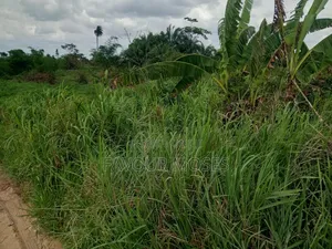1 Plot of Land for Sale
