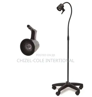 Halogen Angle Examination Poised Lamp